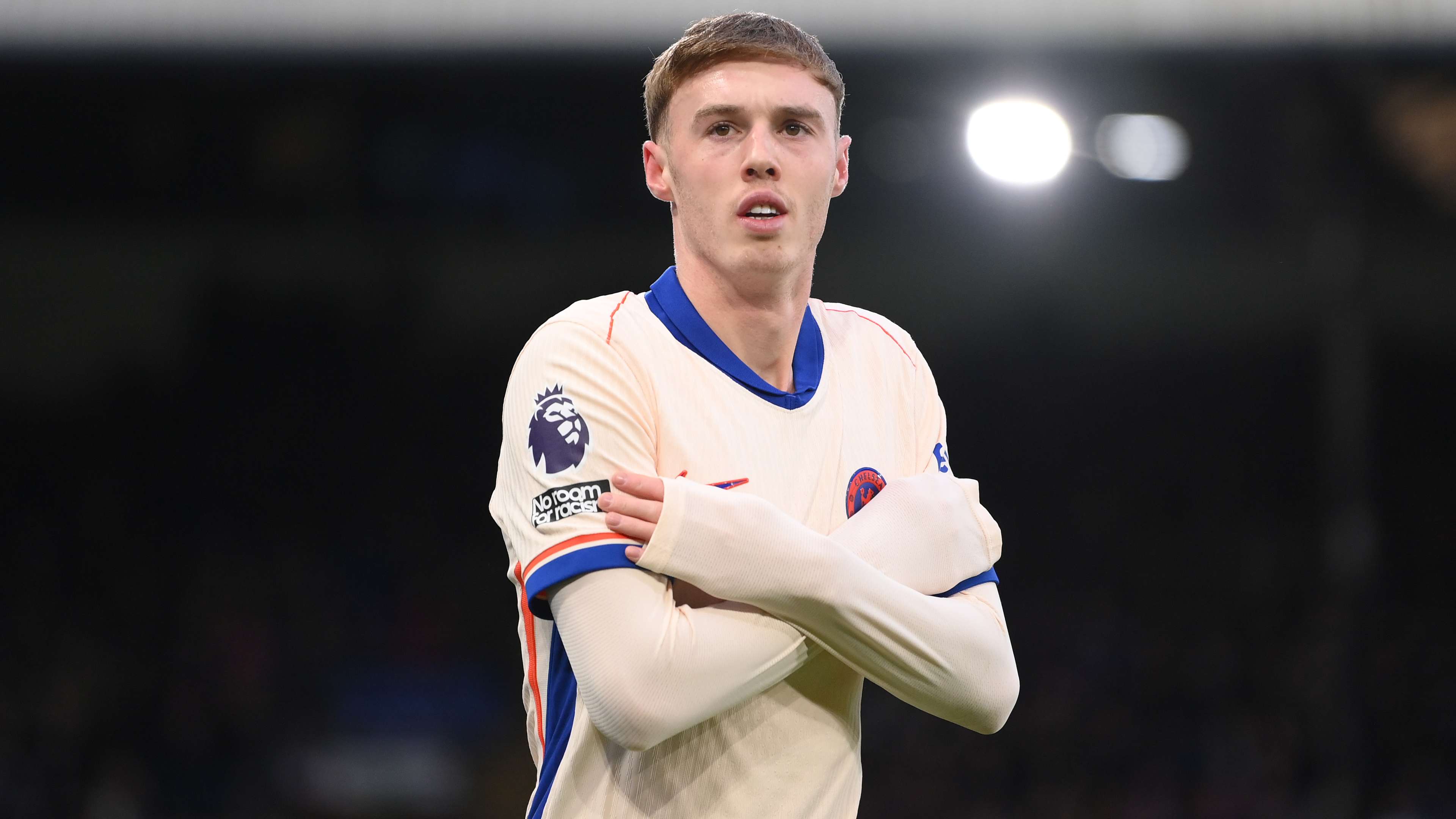 年的老鹰v 年的老鹰v