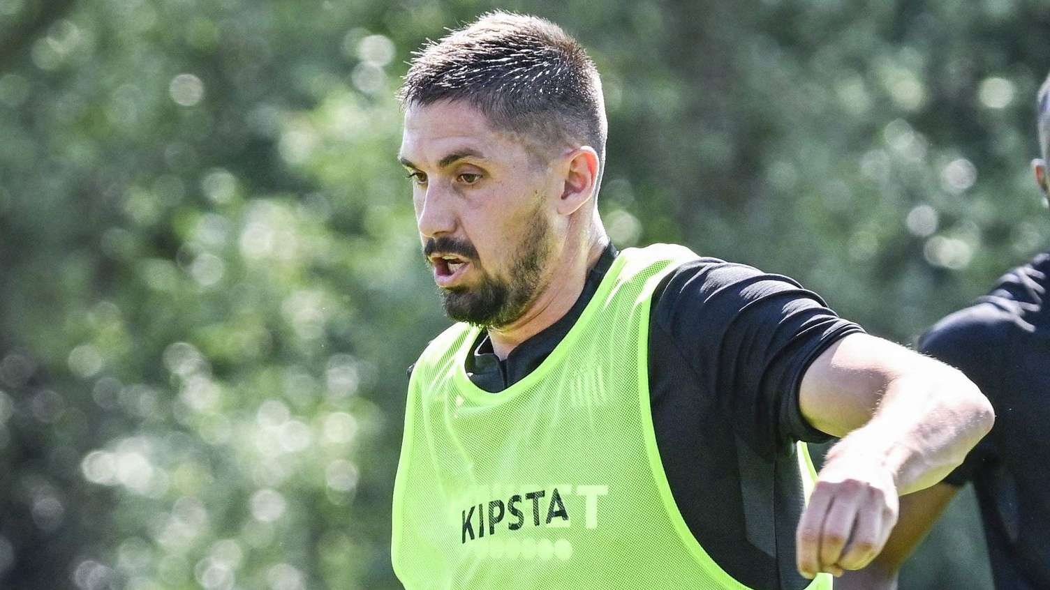 作为近年来 作为近年来